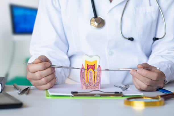 Best Emergency Treatment for Dental Infections or Abscesses in Hilton, NY